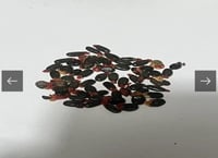 1 كيلو طلح ملحي