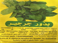 جرجير مصري كيلو