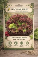 خس لولو قرمزي