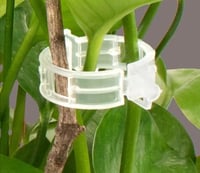 30 مشبك اغصان