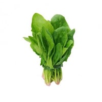 بذور سبانخ (15 قرام )