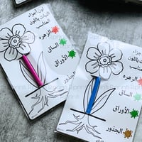 تلوين اجزاء النبات +مرسام