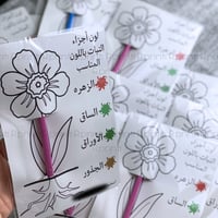 تلوين اجزاء النبات +مرسام