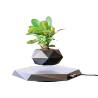 وعاء النباتات العائم للديكور المنزلي والمكتب الرفع...
