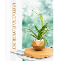 وعاء النباتات العائم للديكور المنزلي والمكتب الرفع...