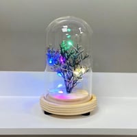 ورد مجفف في لمبة مضيئة بالبطارية