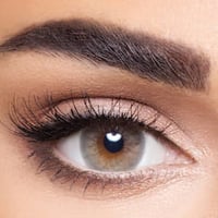 ANESTHESIA عدسة العين NK VERDE