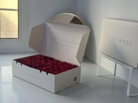 بوكس الجوري الأحمر