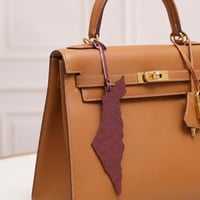 تعليقة فلسطين