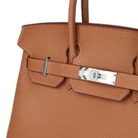 بيركين لارج | جملي