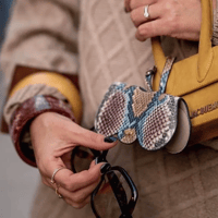 حافظة نظارات