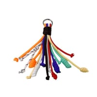 تعليقة الاحبال