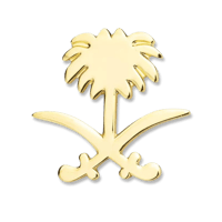 بروش سيفين و نخلة