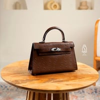 كيلي اوسترش | بني