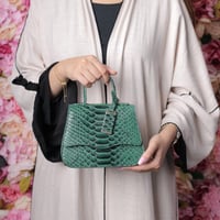 مكسيكو | أخضر