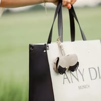 حافظة نظارات