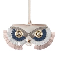 حافظة نظارات