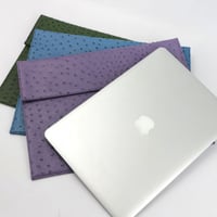 كليك باوتش | زهري