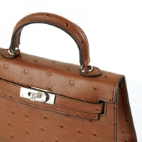 كيلي اوسترش | أزرق