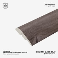 Sliver Gray