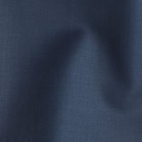 Blue 2041
