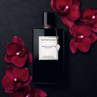 عطر اوركيد ليذر من فان كليف اند اربلز - او دي برفي...