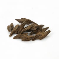 كمبودي تايقر