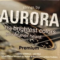 اروروا تركي 6 اوتـار فضي