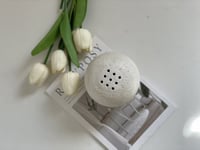 مبخره كرويه