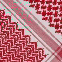 شماغ سيار سجنتشر أو - Signature.e