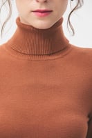 بلوزة بيسك بياقة عالية