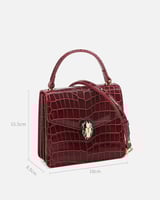 ‎ شنطة زايروس النسائية أنيقه بلون عودي | ZLH567L16...