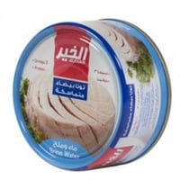 تونة الخير ماء وملح صغير 95 جم شد 48