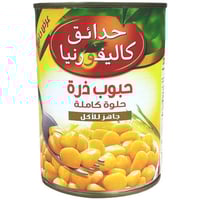 ذرة كاليفورنيا كبير 400 جم شد24