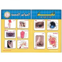 كتاب تعلم واقرأ واكتب مع الوسيلة الشاملة