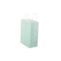 كيس هدايا أخضر 24.5×33×12 سم