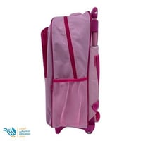 شنطة كفرات 5×1 عدة ألوان 17 انش SBC