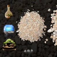 حصى طبيعي مصقول – طبقة تصريف وتنسيق جمالي لأحواض ا...