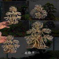 شجرة بونساي جافة مقاس L – تصميم طبيعي لفن الأكوابي...