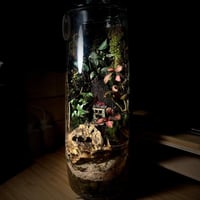 Terrarium 16