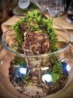 Live terrarium 4