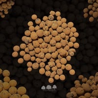 LECA – كرات الليكا الموسّعة للزراعة والديكور (350...