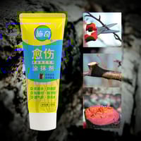 مرهم لقفل اجراح الشجره ومنع التعفن بعد التقليم