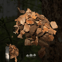 لحاء خشب الصنوبر الطبيعي – وسط عضوي متعدد الاستخدا...