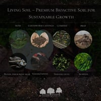 تربة حية – المستوى الأول– تربة بيولوجية نشطة لنمو...