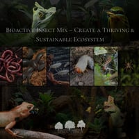 مكس الحشرات لإنشاء بيئة حيوية نشطة – توازن طبيعي و...