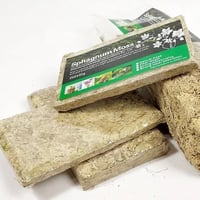 Sphagnum Moss 150g