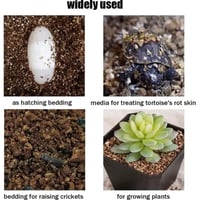 فيرميكوليت 4L لتربيه الزواحف