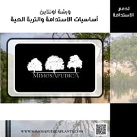 ورشة أساسيات الاستدامة والتربة الحية