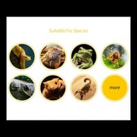 اكسسورات للزواحف مخبأ كانه جذع شجرة